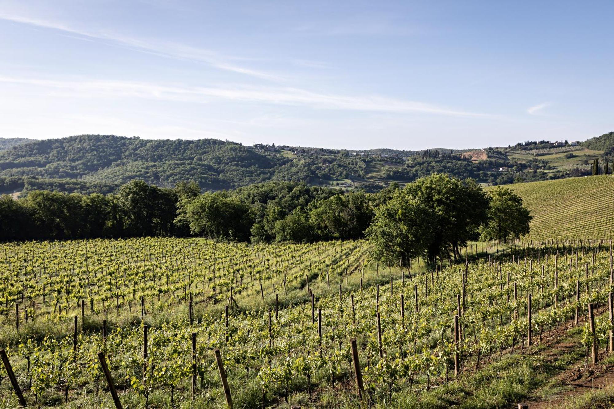 Pieve Aldina Relais & Chateaux Radda in Chianti Zewnętrze zdjęcie